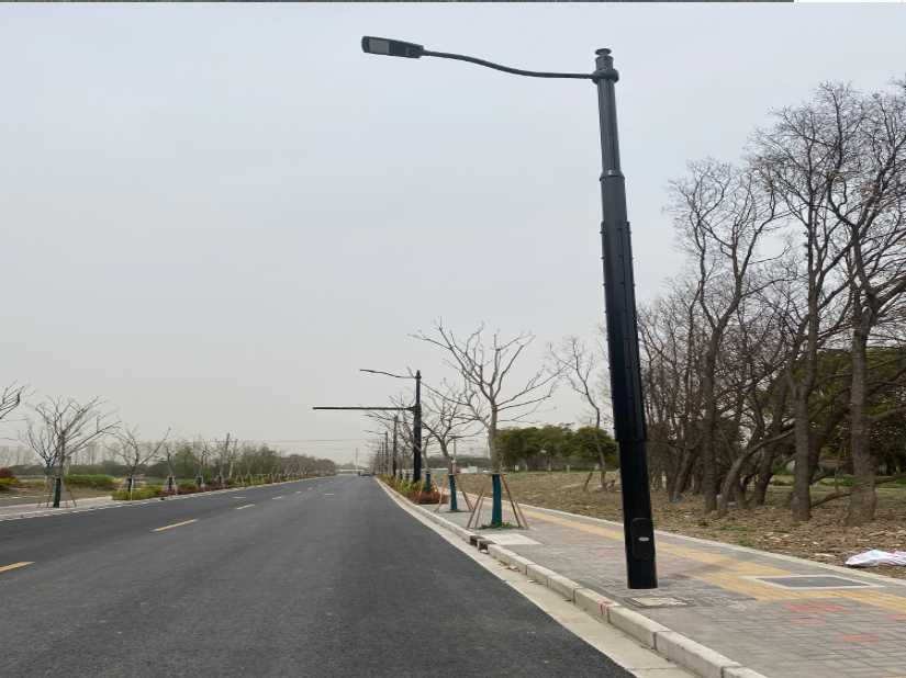 和平县上海综合杆 太阳能路灯工程